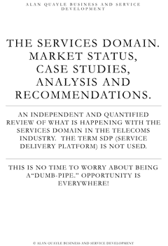Services Domain Report